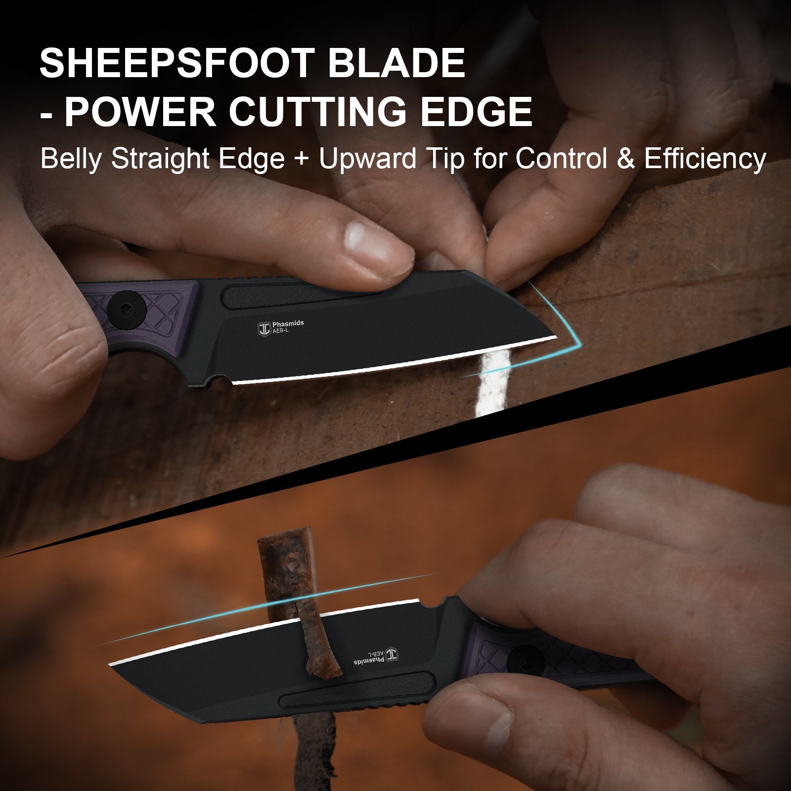 Phasmids | AEB-L | G10 | KizerV™ 1079A1