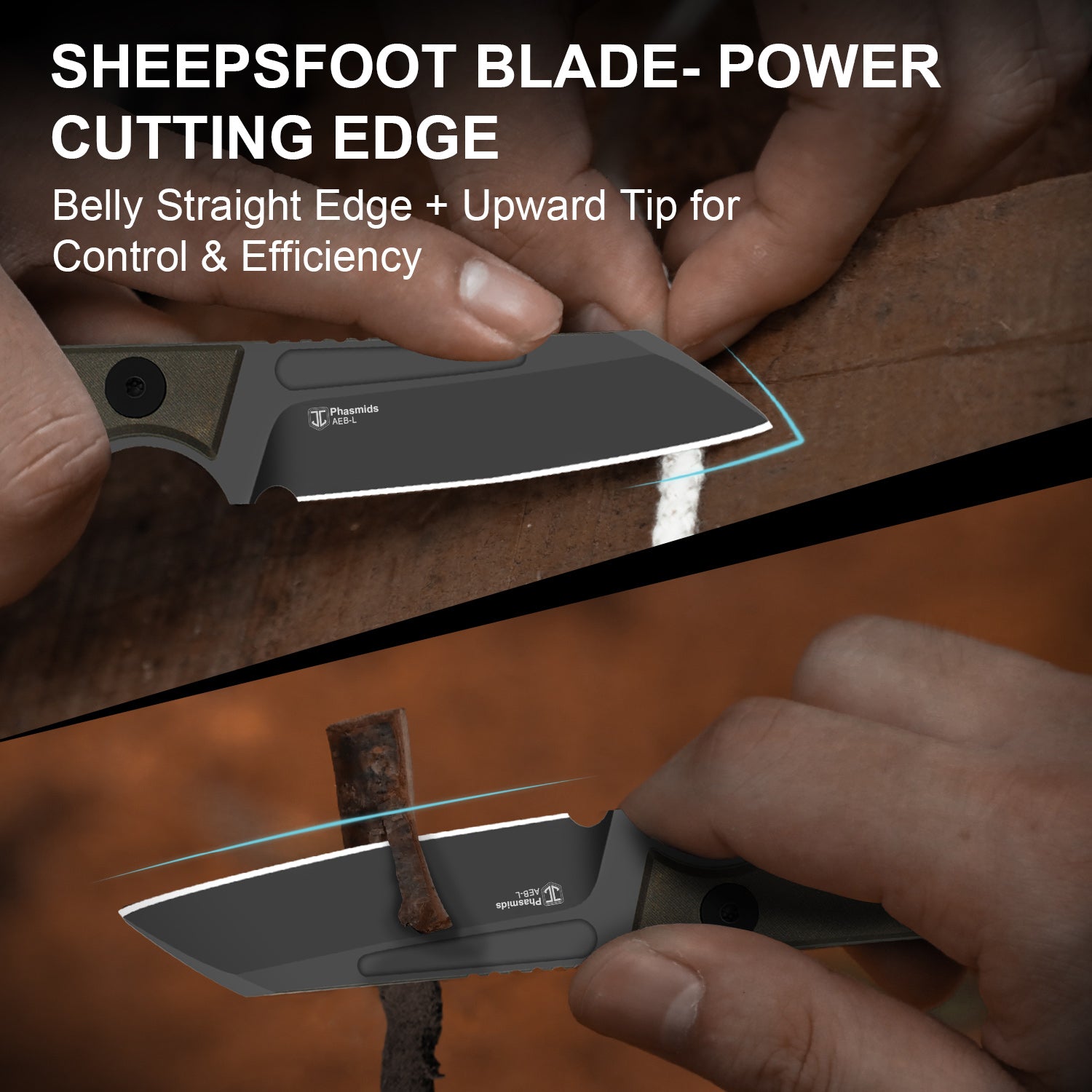 Phasmids | AEB-L | Chocolate Glacier | KizerV™ 1079A2