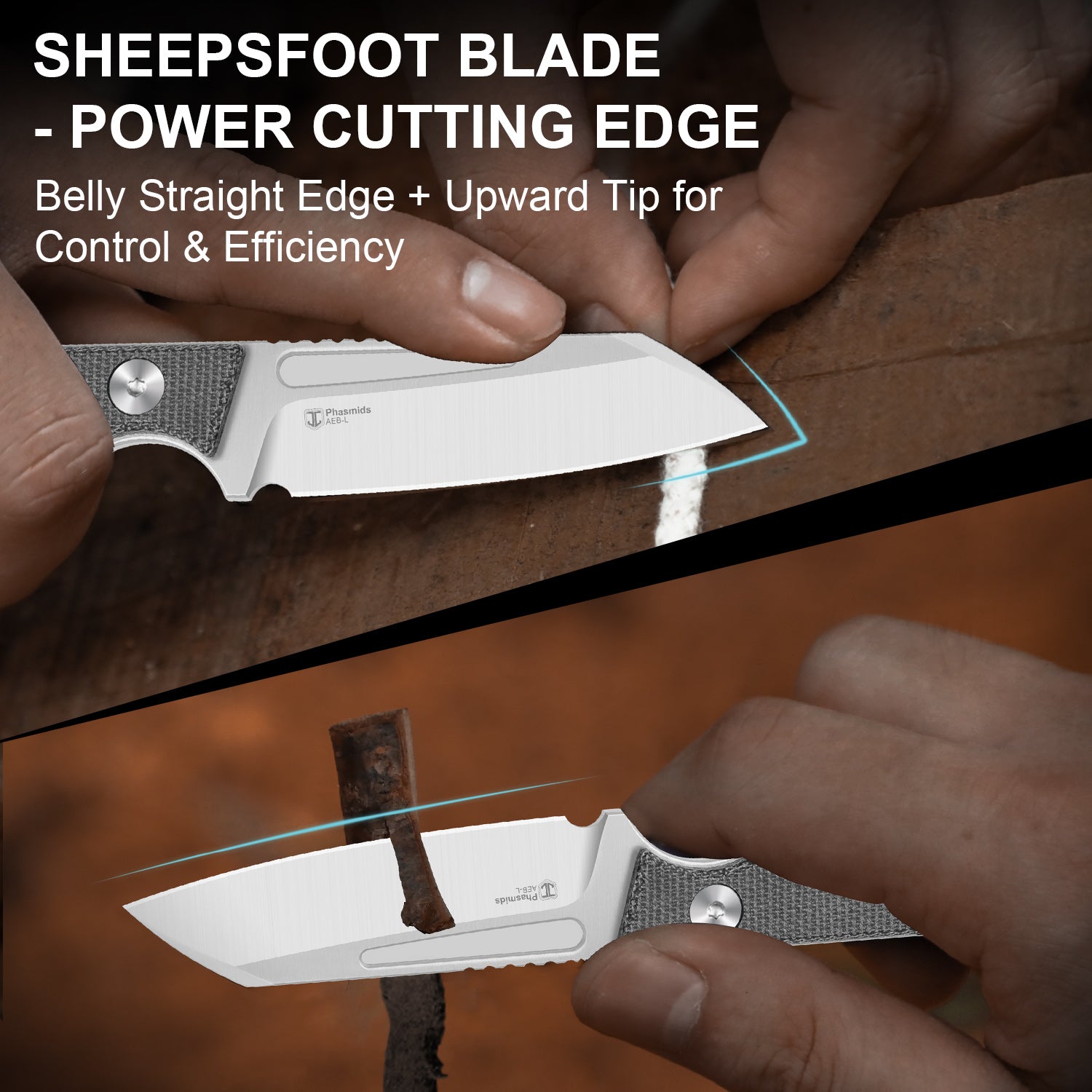 Phasmids | AEB-L | Micarta | KizerV™ 1079A3