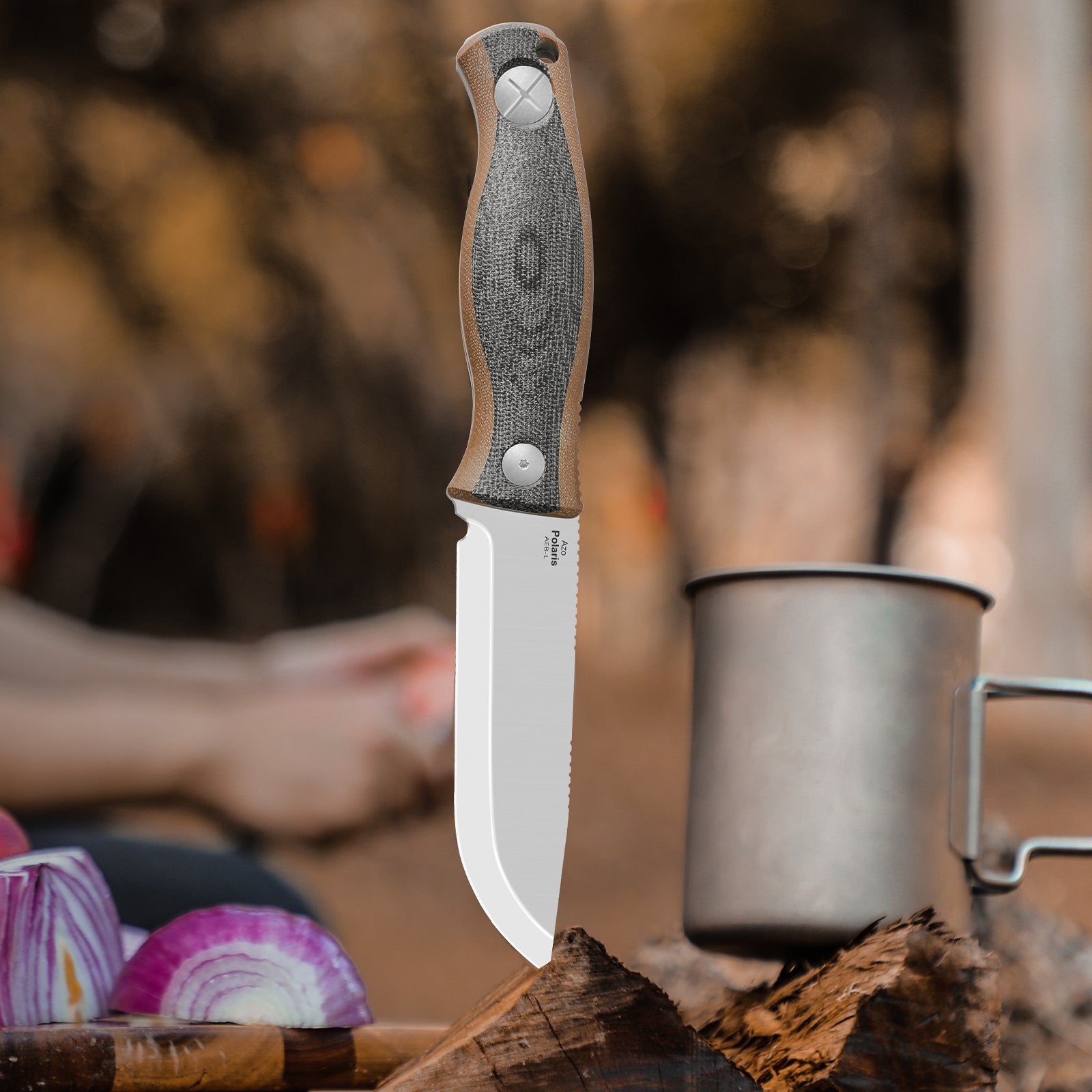 Polaris | AEB-L | Micarta & G10 | KizerV™ 1100A1