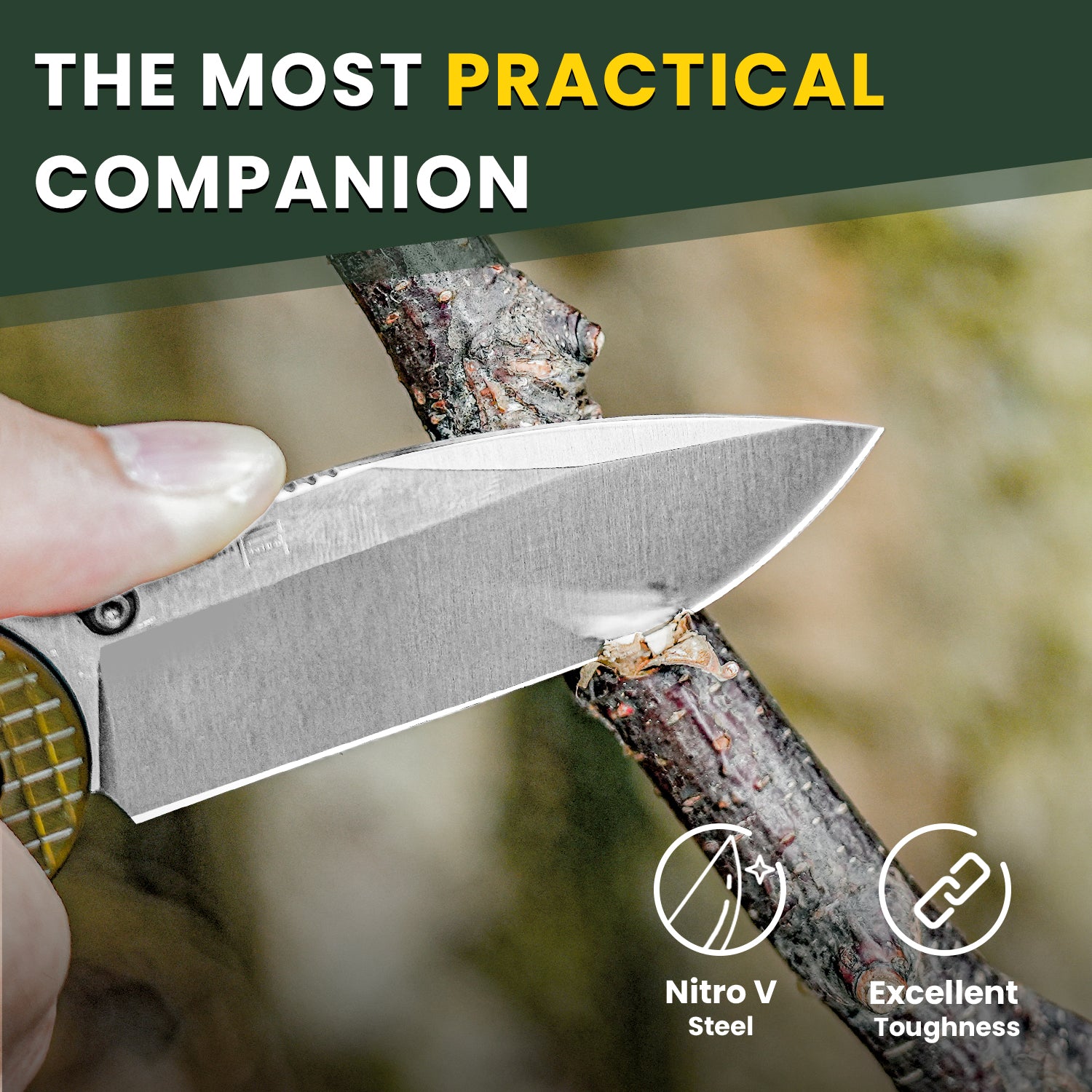 Assassin | Nitro-V | PEI | V3549A1