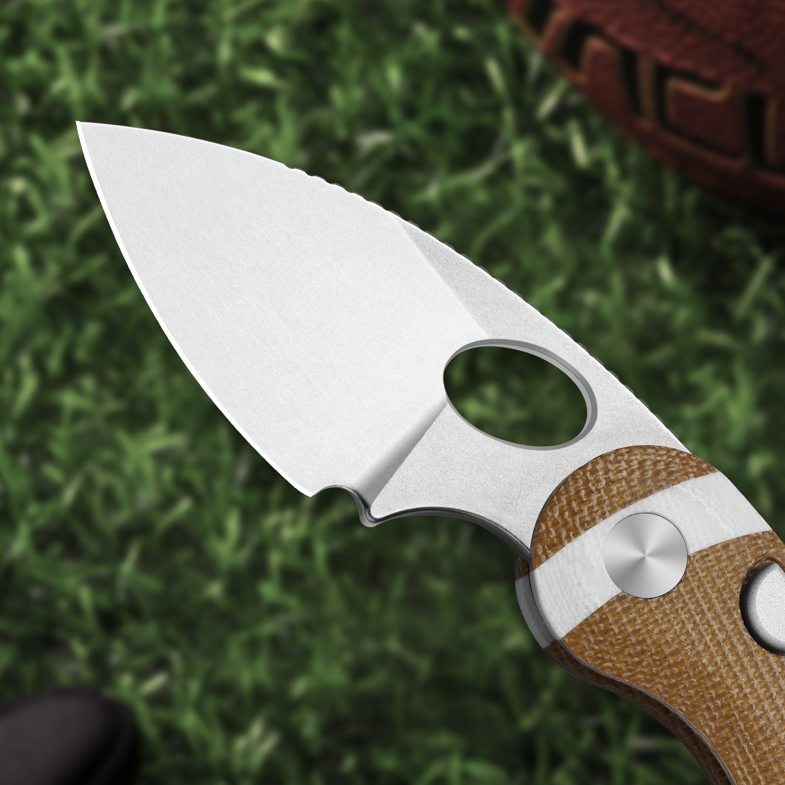 Microbe™ | Kizer Button Liner Lock™ | The Fifth Pocket 2.19" | 14C28N | KizerV™ 2742A8