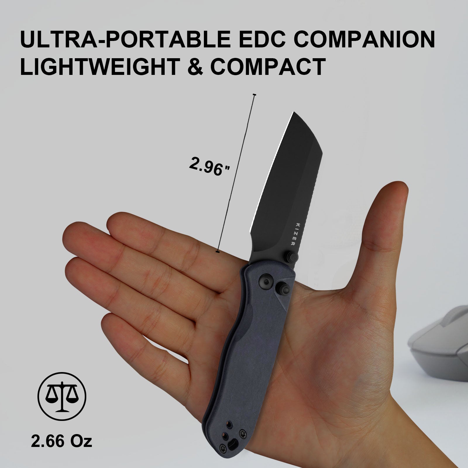 Drop Bear® 2 | Kizer Button Liner Lock™ | Nitro-V | Richlite | Matte DLC Coating | KizerV™ 3619.2CS1