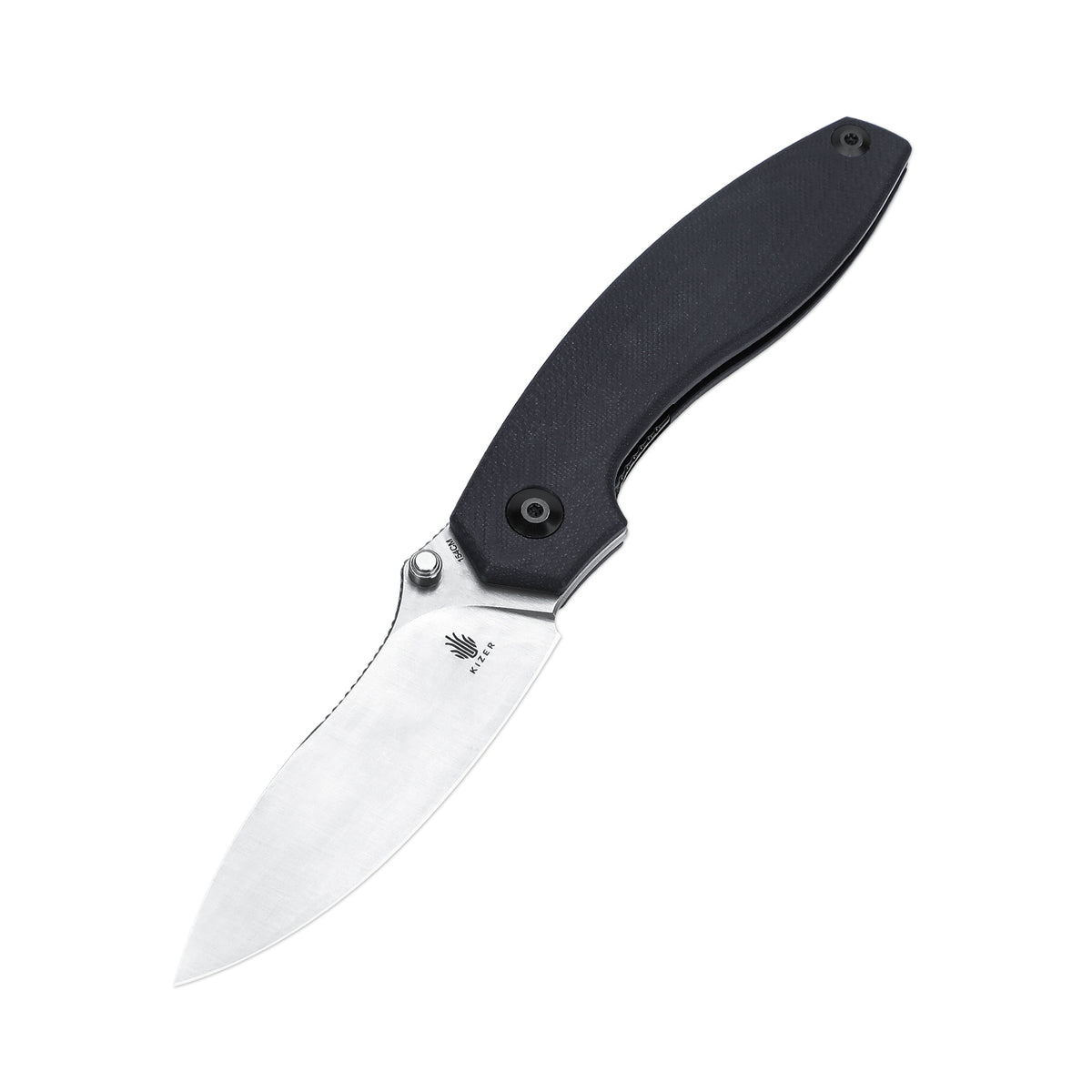 Doberman | 154CM | G10 | V4639C1