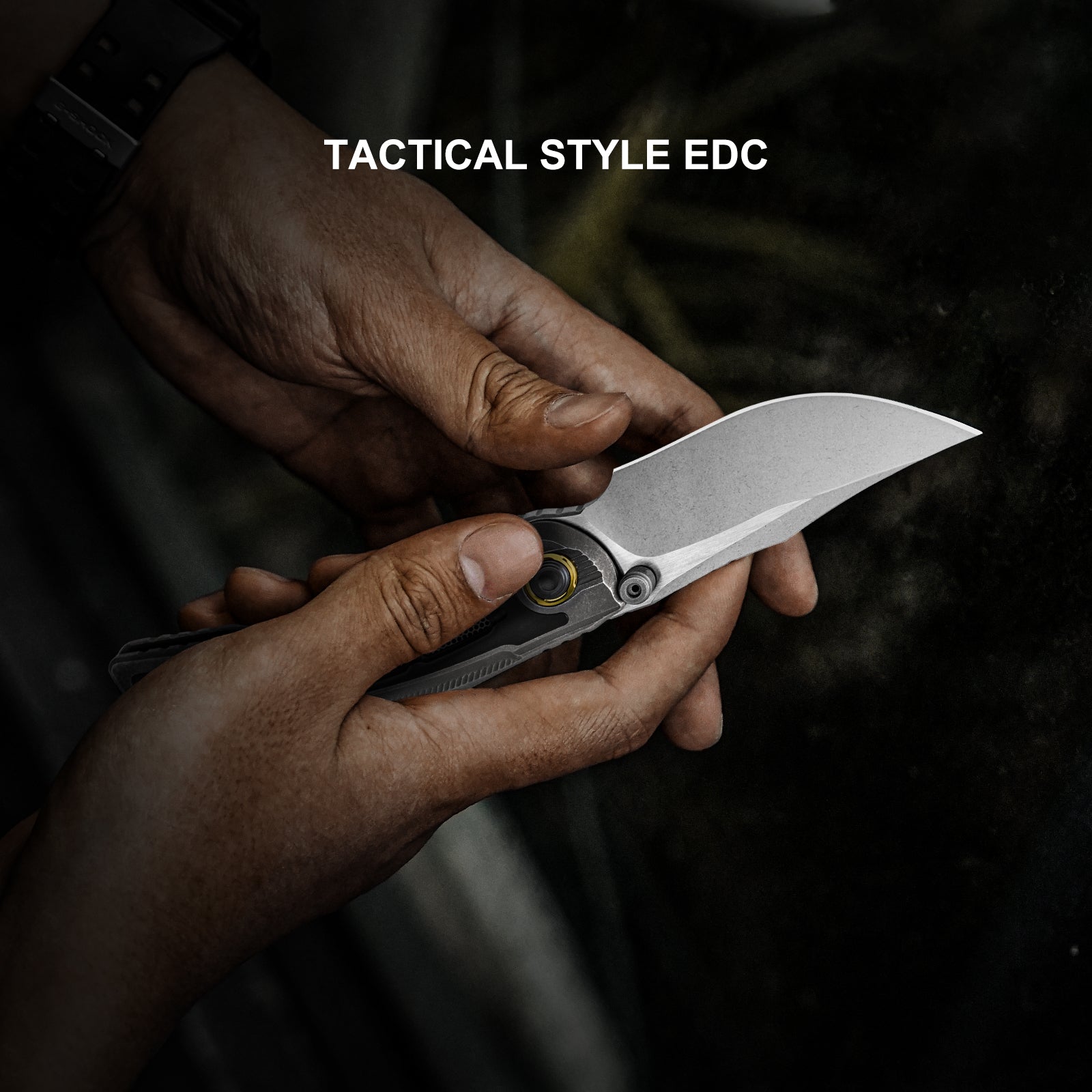 SILVERWING | M390 | Titanium | Limited | ZX-FK01A1 | KIZERX®