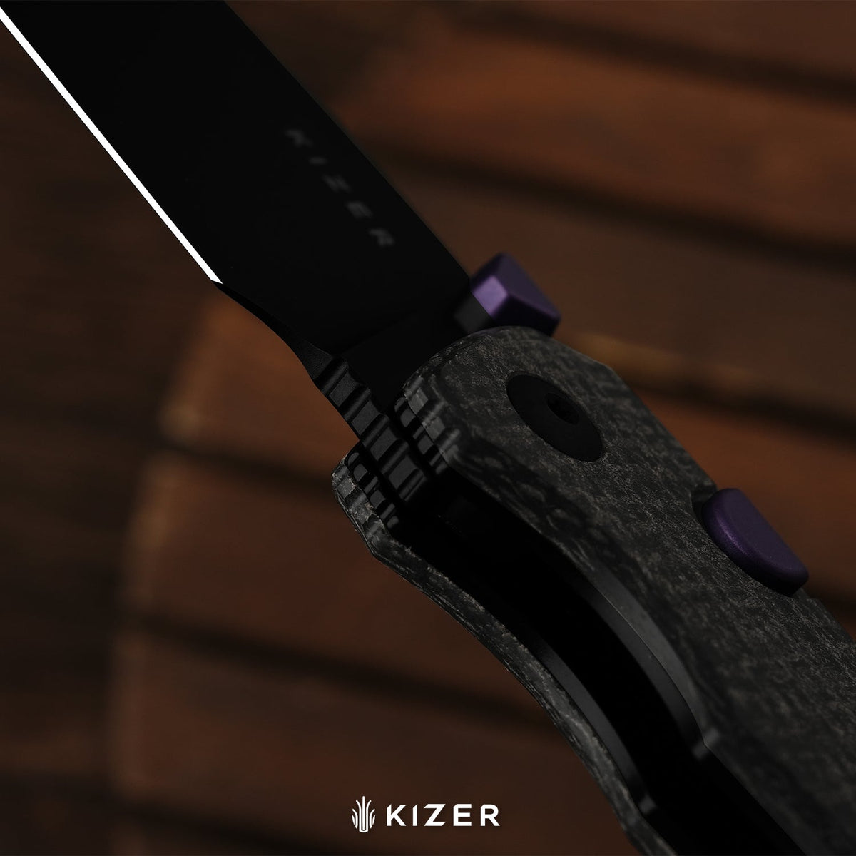 Wharning | Wharncliffe | Kizer Button Liner Lock™ | N690 | Micarta | KizerV™ 3738BW1