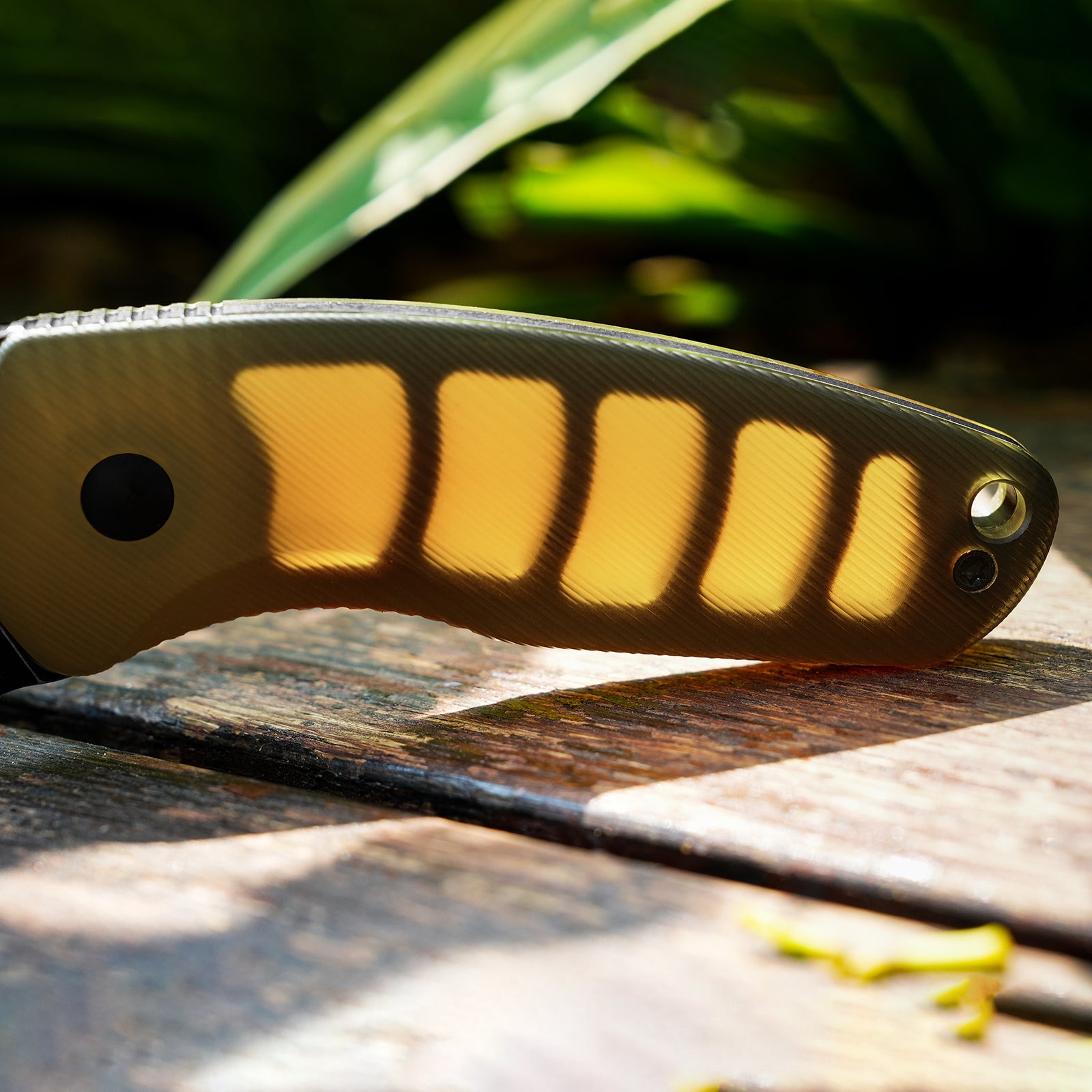 Hornet | Bee Belly Hollowed-out Handle | 14C28N | Fixed Blade | KizerV™ 1074A2