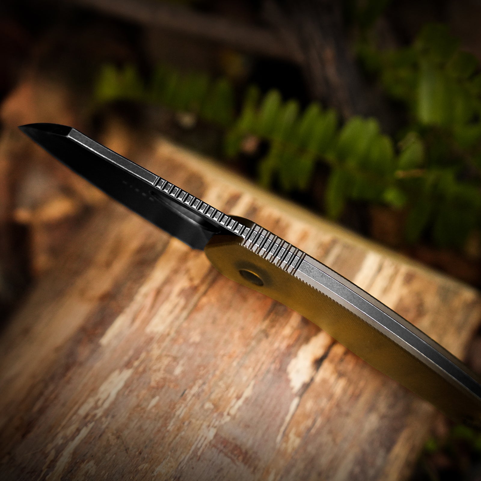 Hornet | Bee Belly Hollowed-out Handle | 14C28N | Fixed Blade | KizerV™ 1074A2