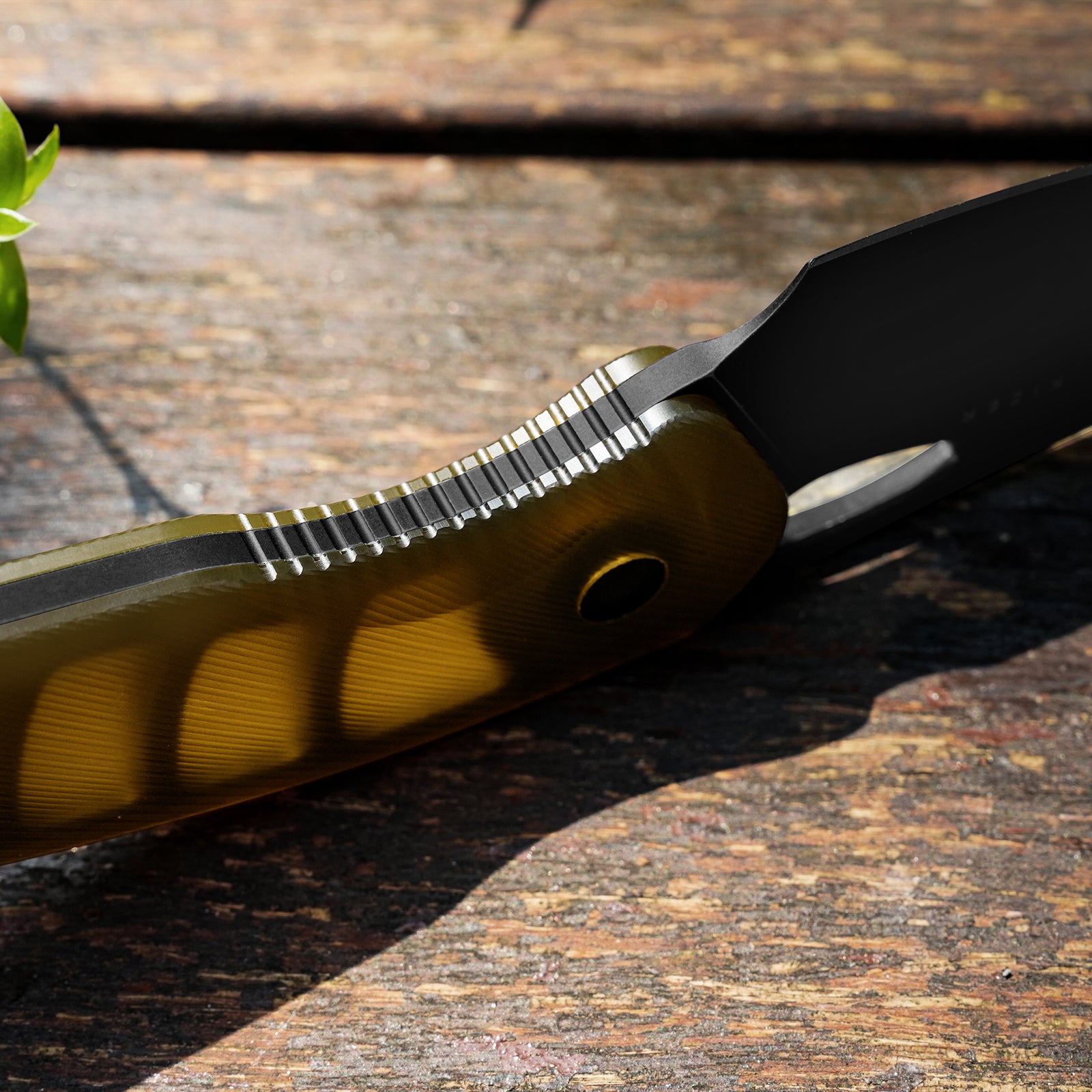 Hornet | Bee Belly Hollowed-out Handle | 14C28N | Fixed Blade | KizerV™ 1074A2
