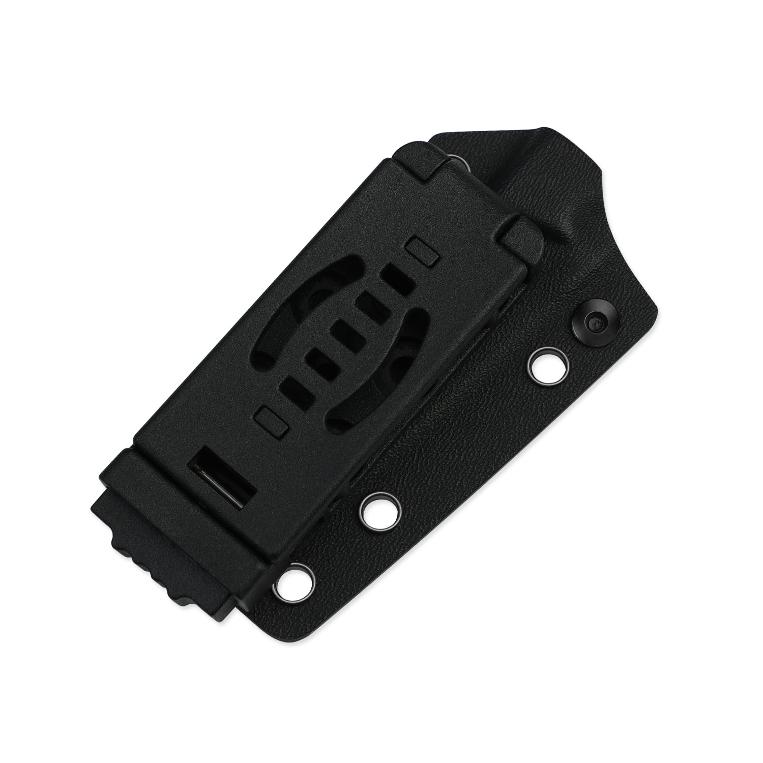 Phasmids | AEB-L | G10 | KizerV™ 1079A1