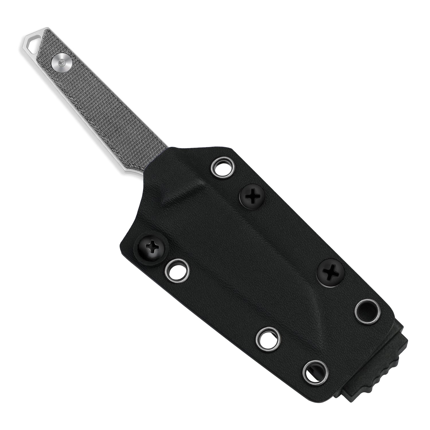 Phasmids | AEB-L | Micarta | KizerV™ 1079A3