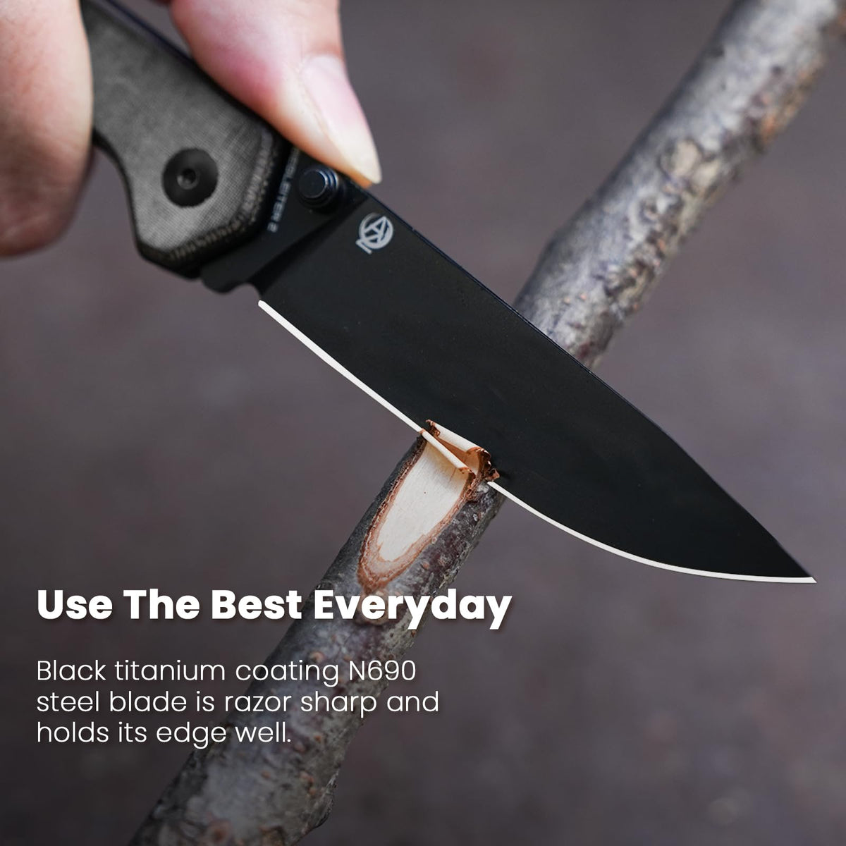 Begleiter® 2 | N690 | Micarta | V4458.2E2