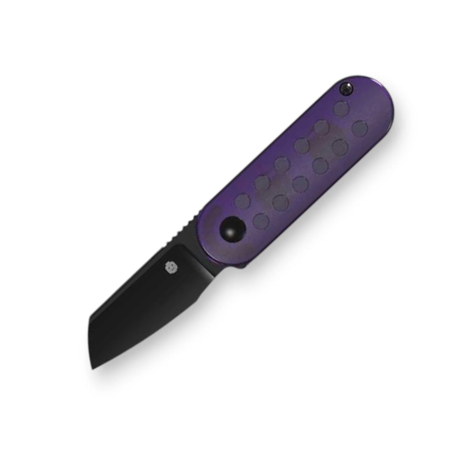 Kizer Mini Bay Blade City Exclusive Purple Folding Knife – Transparent Acrylic Handle /50